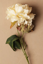 Double-Head Peony Artifical Faux Flower (011)