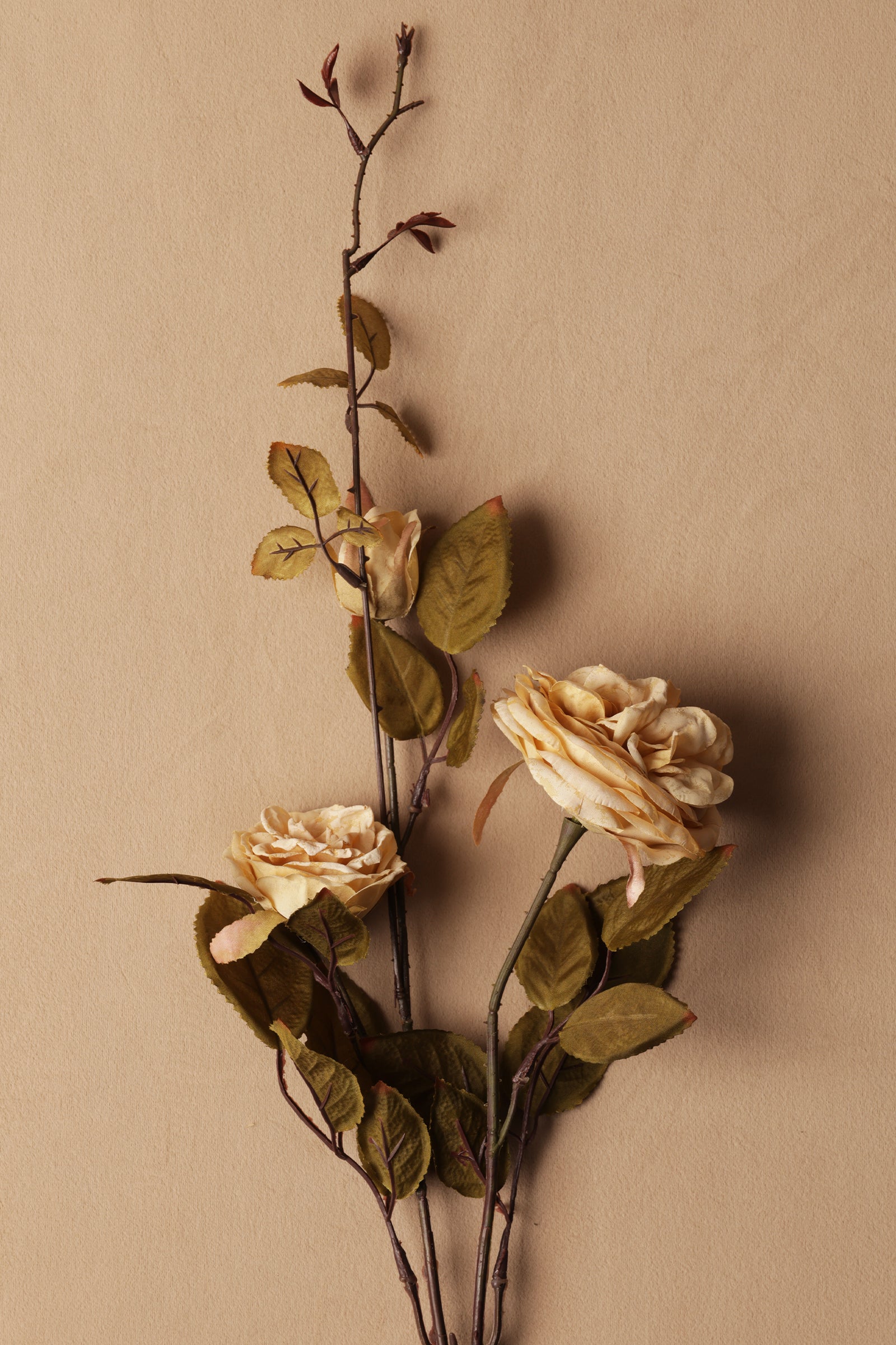 Artificial flower branch with beige flowers on a beige background