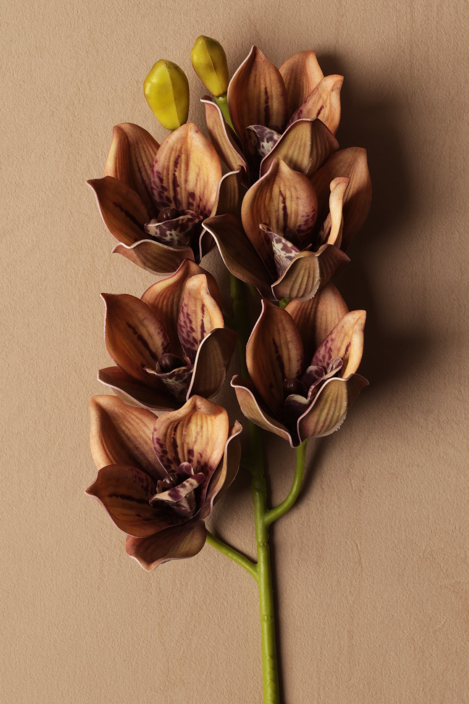 Artificial Tiger Orchid Silk floral (061)