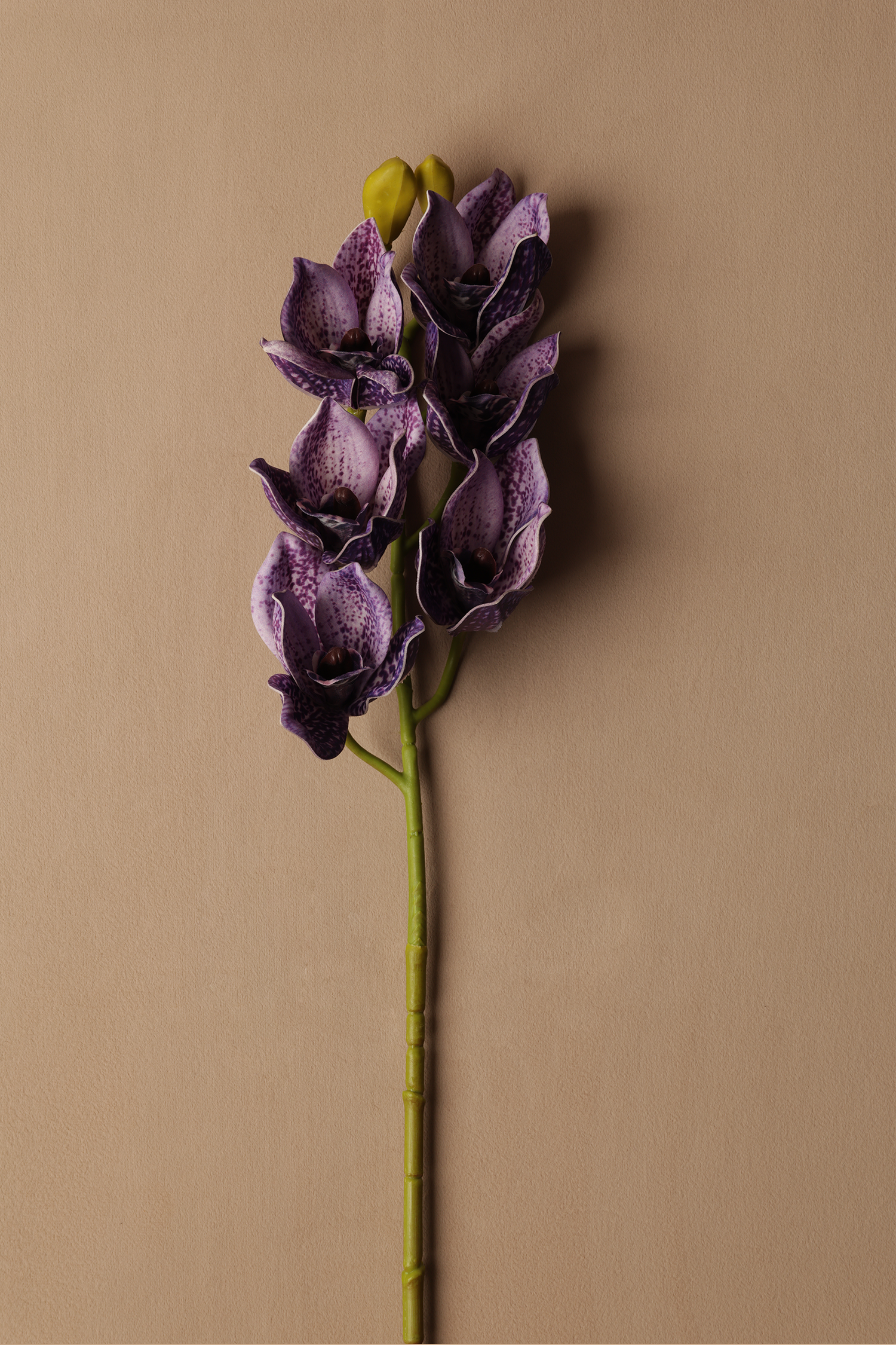 Artificial Tiger Orchid Silk floral (075)