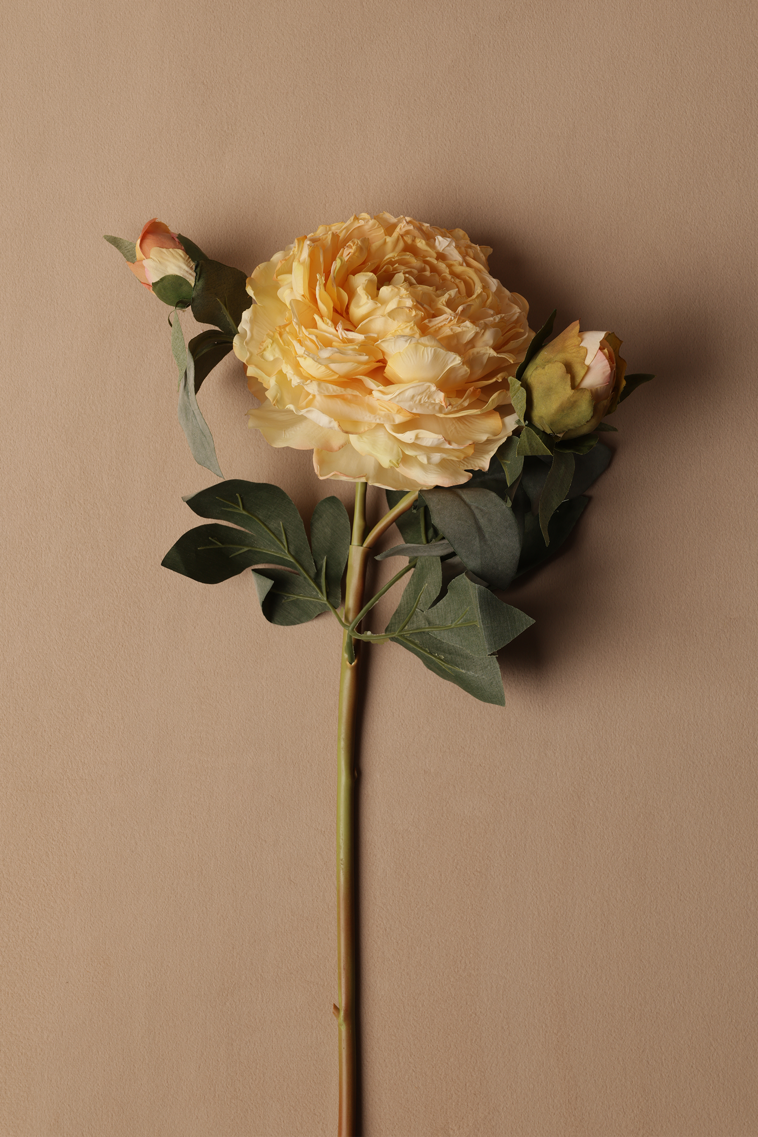 Multi-Bloom Peony Artificial Stem