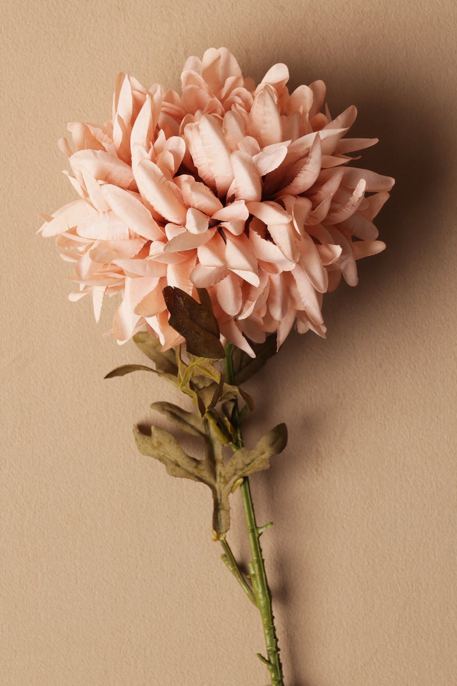 Chrysanthemum Artificial Stem (035)