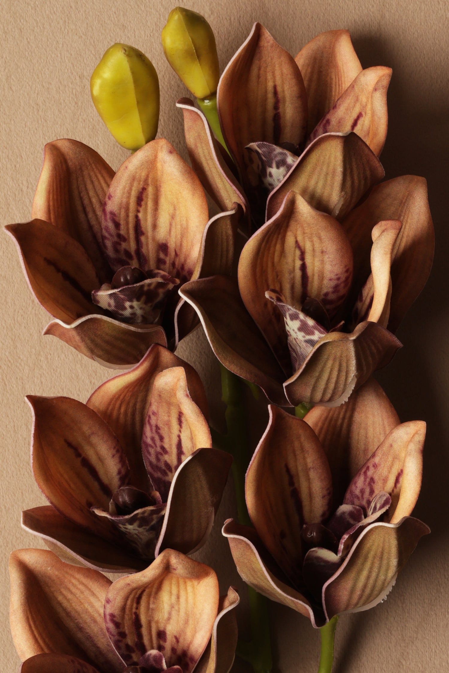 Artificial Tiger Orchid Silk floral (061)