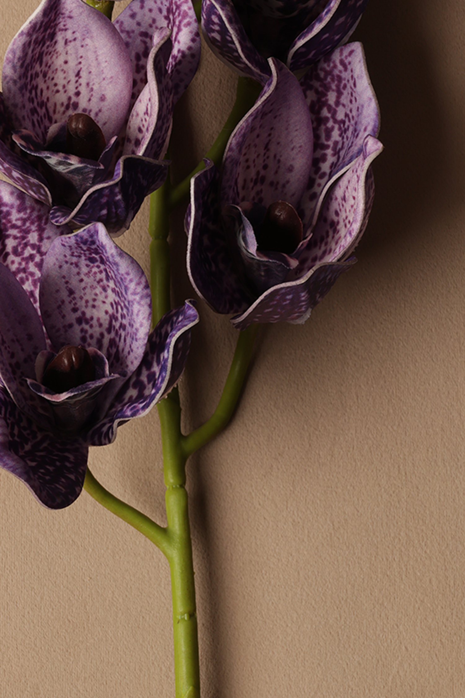 Artificial Tiger Orchid Silk floral (075)