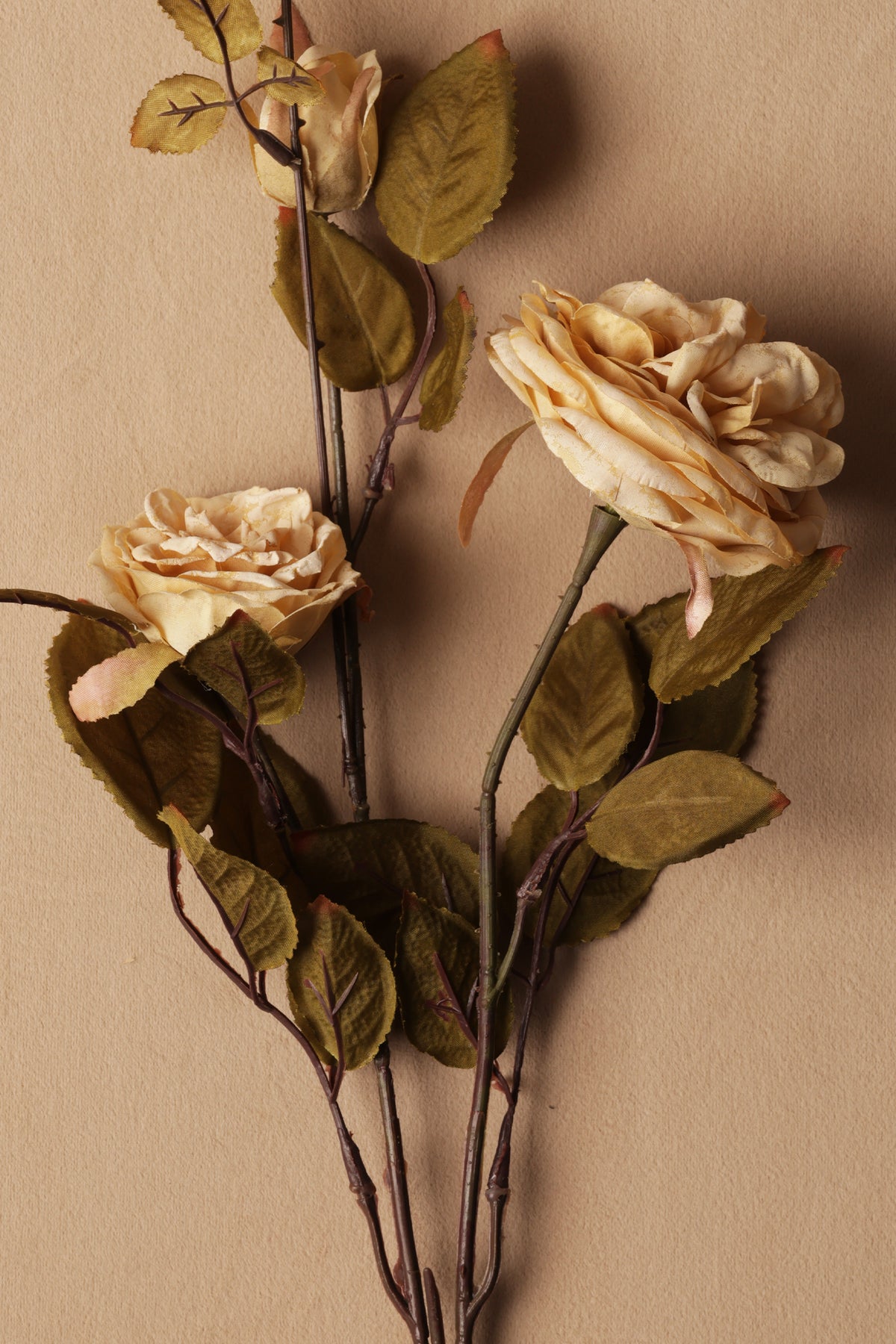 Artificial flower branch with beige roses on a beige background