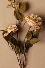 Artificial flower branch with beige roses on a beige background