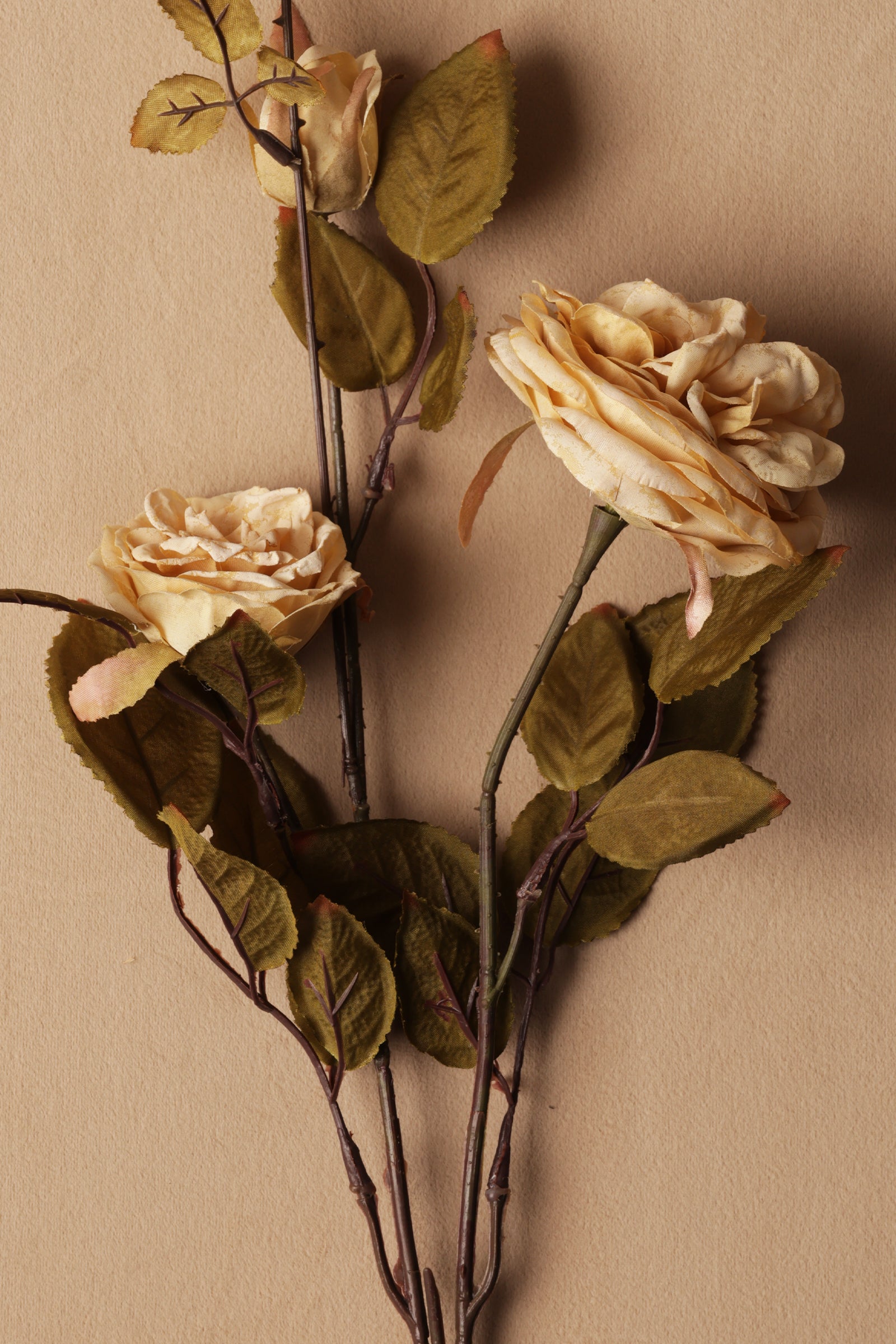 Artificial flower branch with beige roses on a beige background