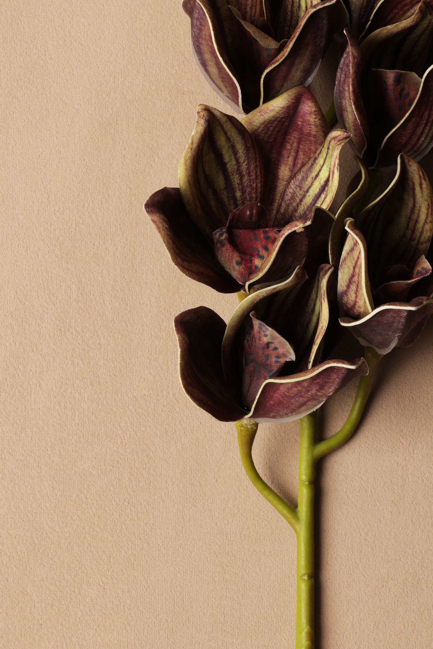 Artificial Tiger Orchid Silk floral (051)