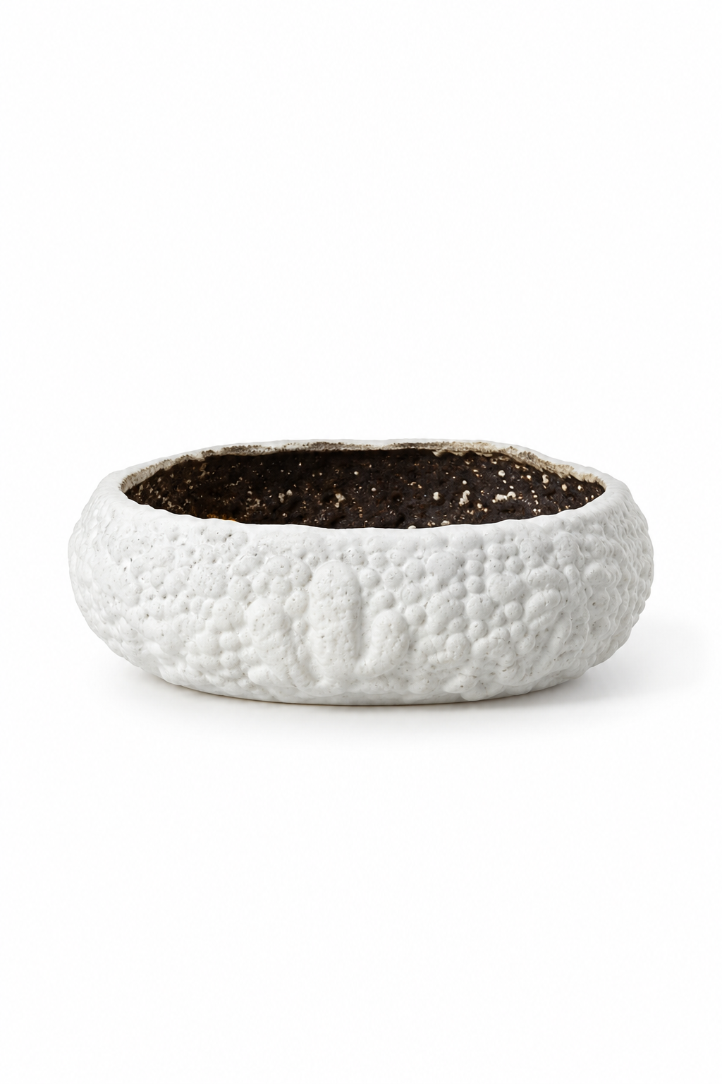 Textured Ivory Decorative Bowl