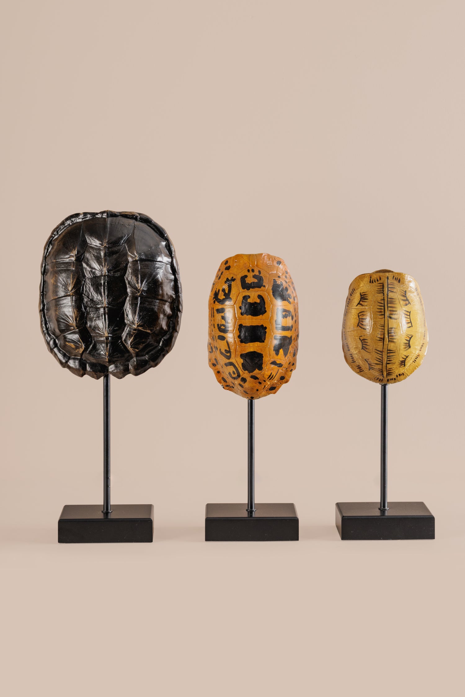 Tortuga Resin Decor - S