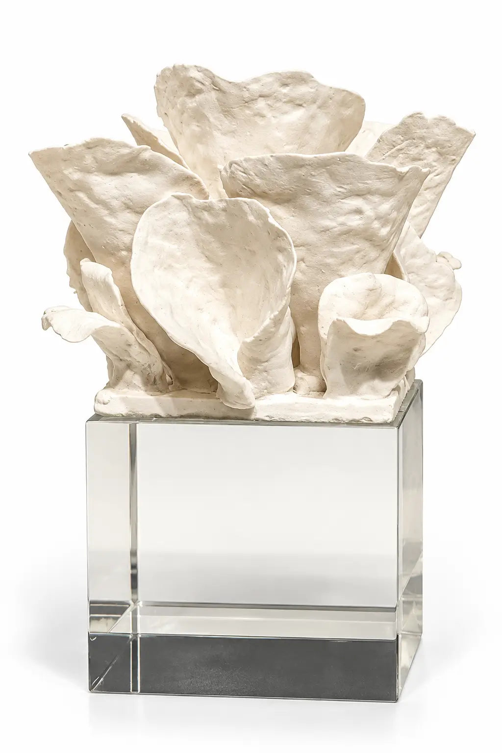 An off-white sculptural floral arrangement made of textured, petal-like pieces mounted on a clear acrylic block, photographed against a seamless white background.
