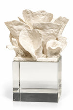 An off-white sculptural floral arrangement made of textured, petal-like pieces mounted on a clear acrylic block, photographed against a seamless white background.