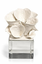 An off-white sculptural floral arrangement with textured, petal-like forms displayed on a clear glass cube pedestal against a white background.