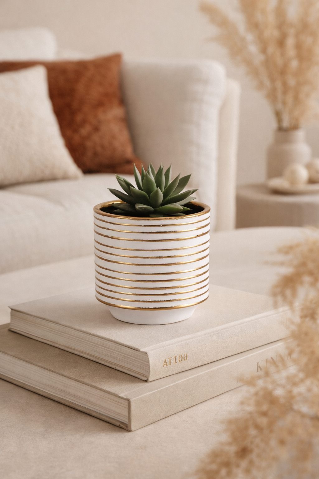 Potted succulent on stacked books with a blurred background of a living room.