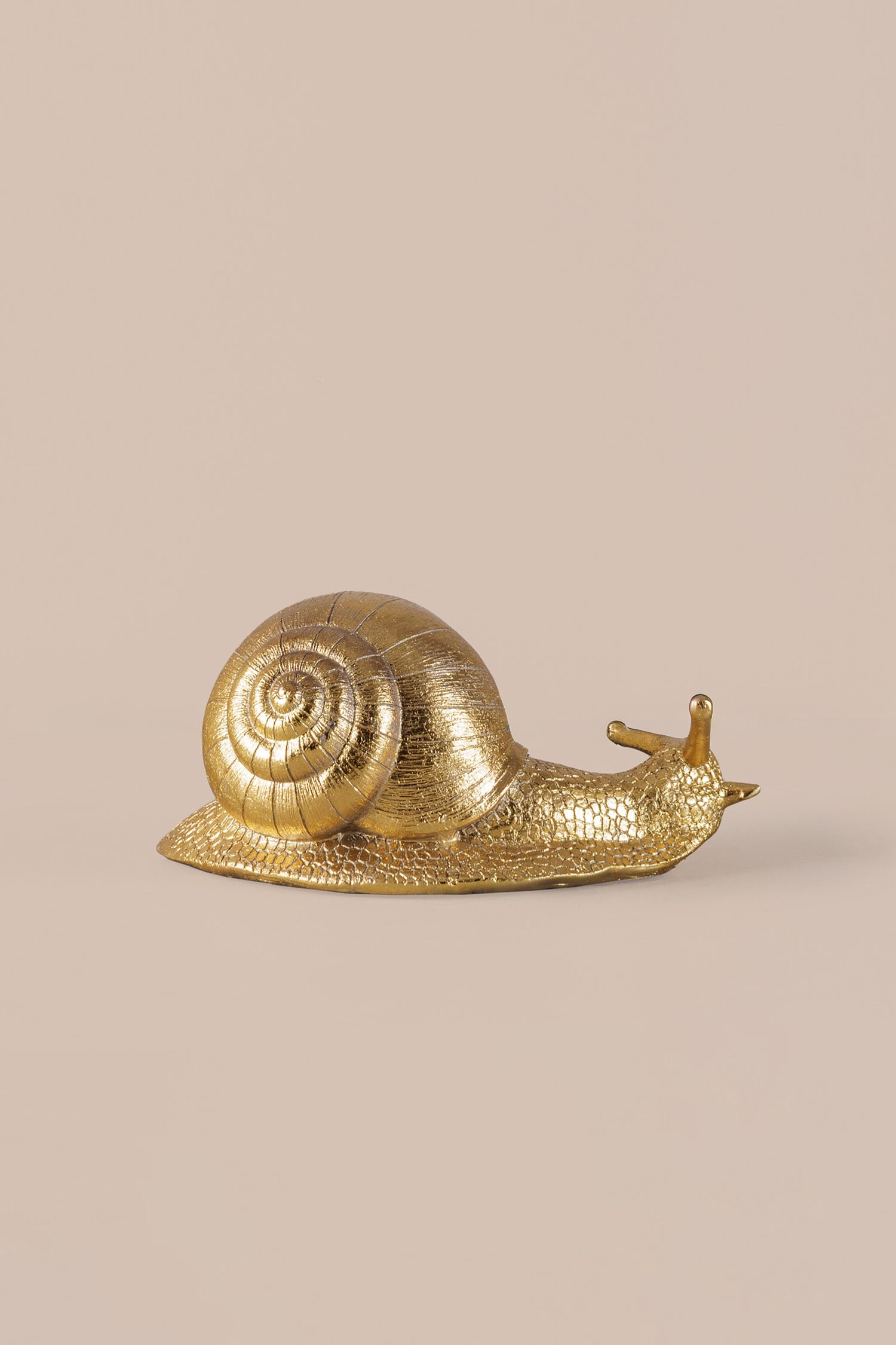 Golden Snail Brass Sculpture