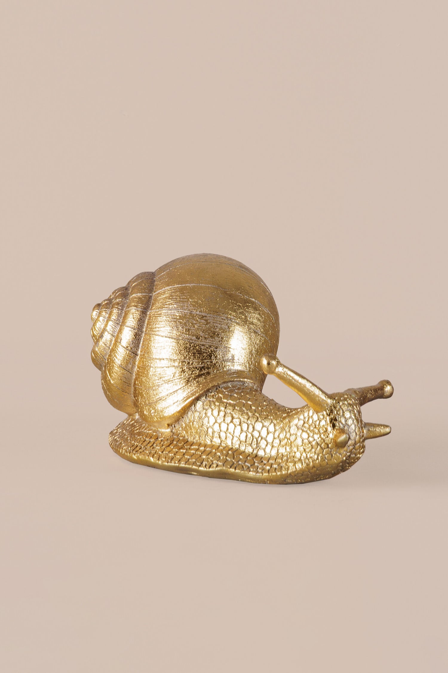 Golden Snail Brass Sculpture