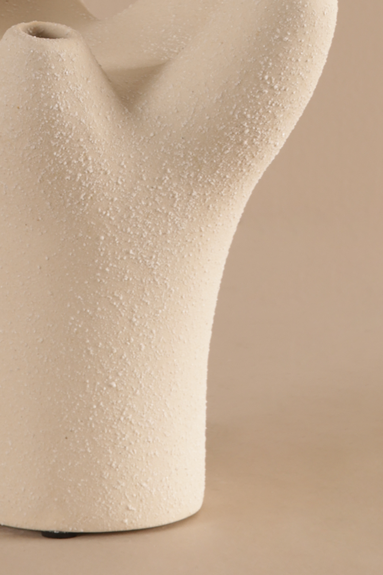 Root Bottle Sculpture - B